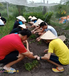 Amazing Farming Time with Cu Chi Tunnels in ho chi minh city