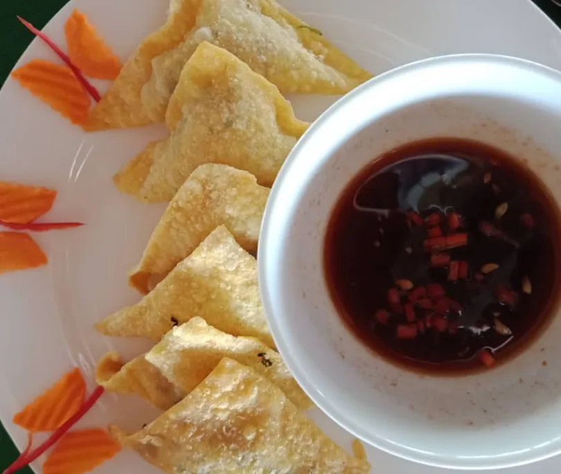 Crispy Vegan Wonton