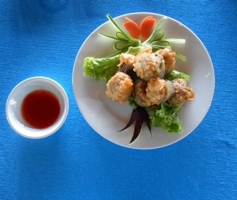 Famous Eggplants stuffed with Tofu