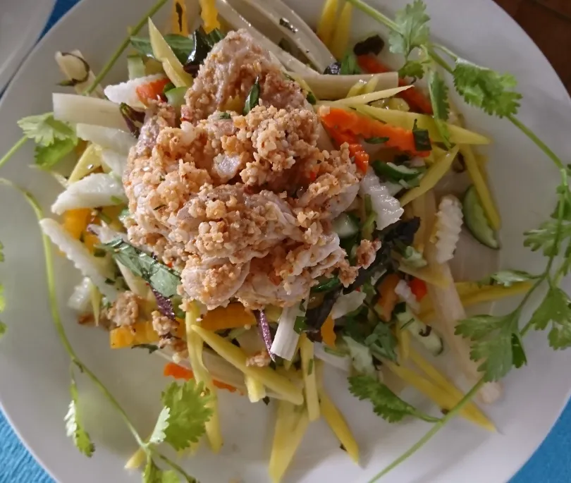 Mango Salad with BBQ Tofu