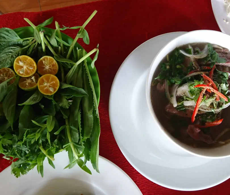Famous Beef Noodle Soup Pho Bo