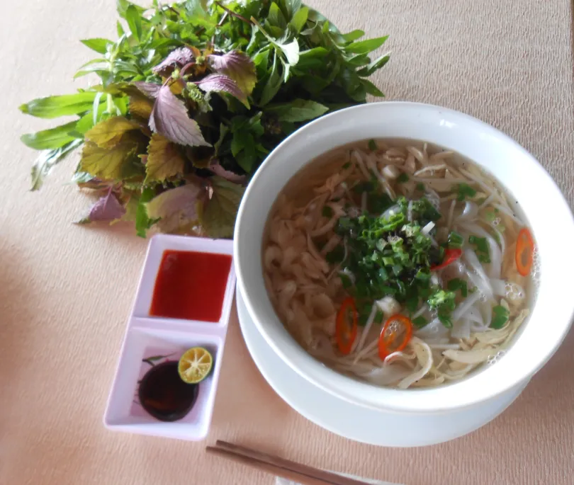 Chicken Noodle Soup Pho Ga