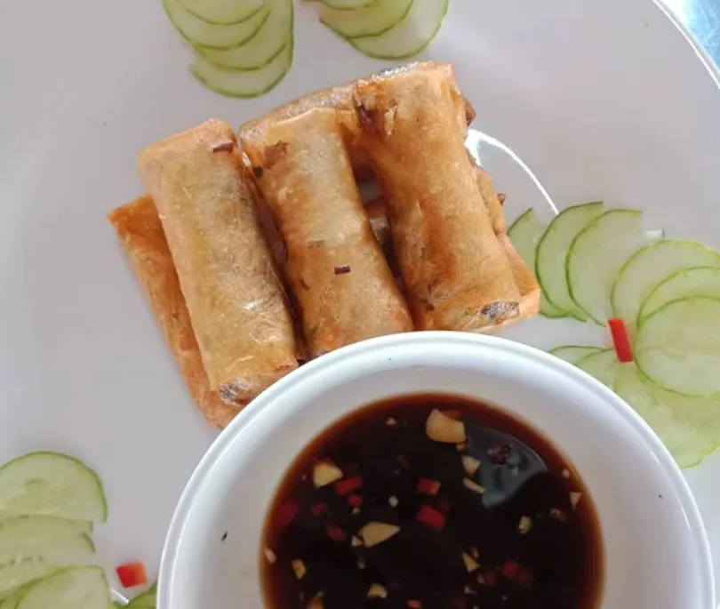 Vegan Spring Roll