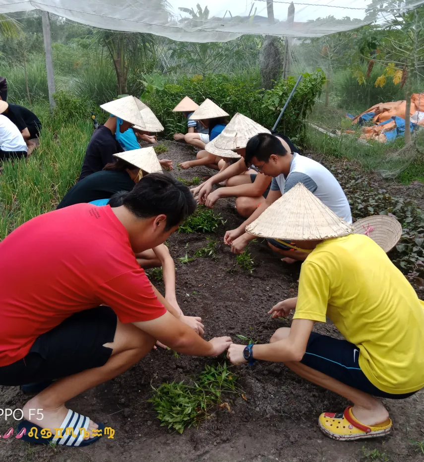 Amazing Farming Time with Cu Chi Tunnels in ho chi minh city