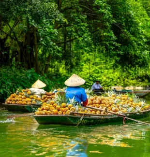 Discover Local Cuisine