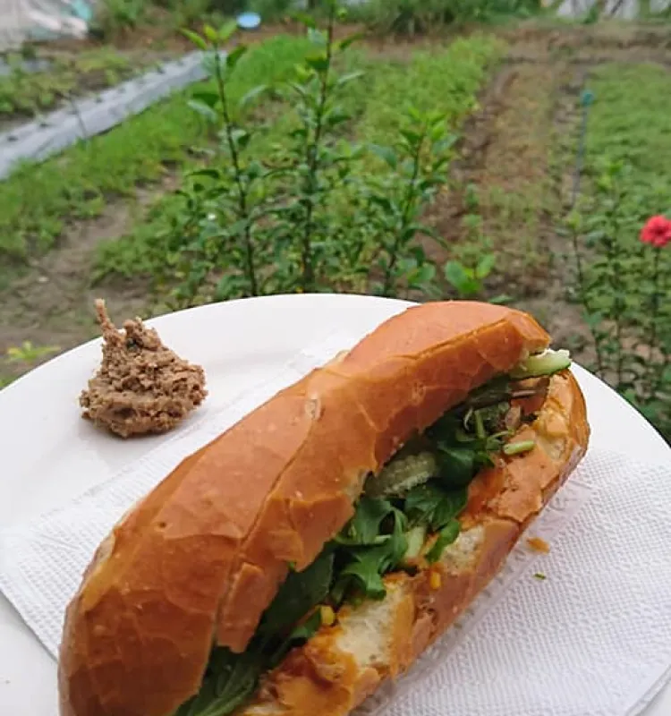 Vietnamese Baguette with Pate and Charsiu