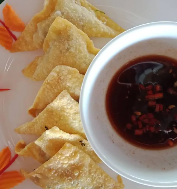 Crispy Vegan Wonton