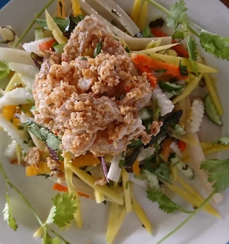 Mango Salad with BBQ Tofu