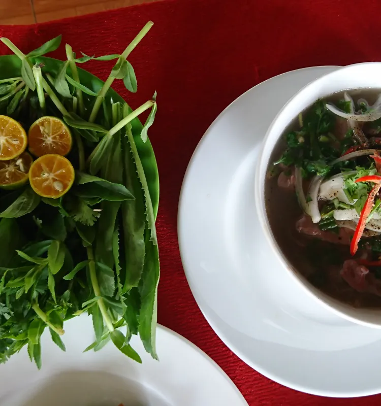 Famous Beef Noodle Soup Pho Bo