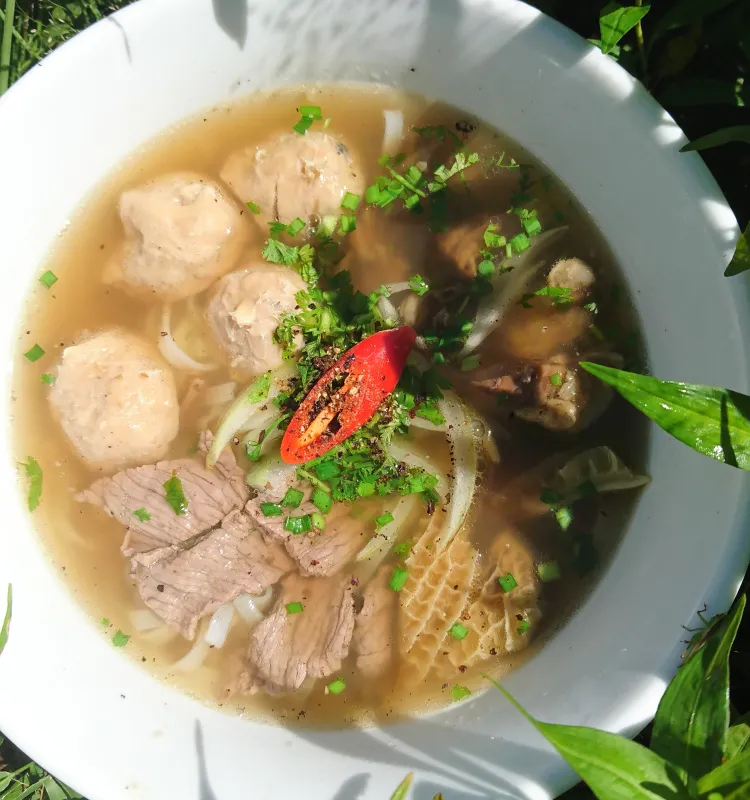 Famous Combination Beef Noodle Soup