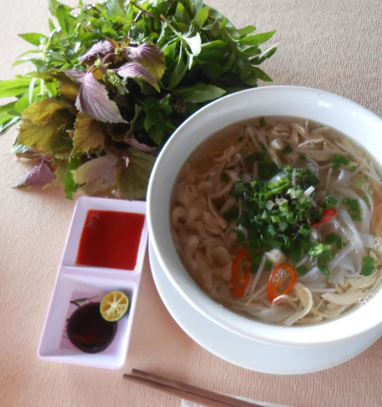 Chicken Noodle Soup Pho Ga