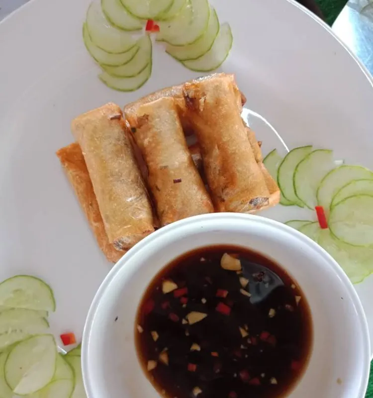 Vegan Spring Roll
